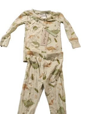Children's Dino Pajama Set - Light Blue with Green & Tan Dino Print